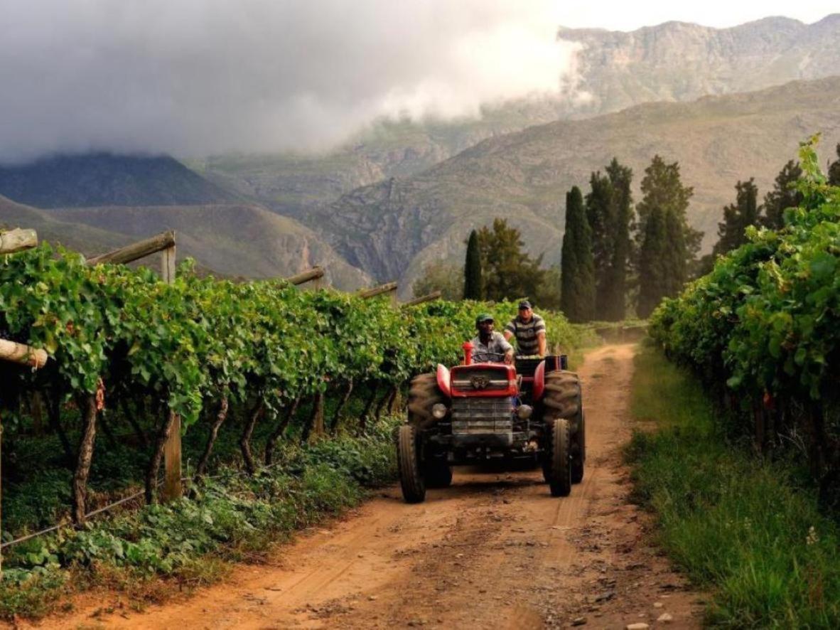 Mymering Wine & Guest Estate Ladismith Exterior photo