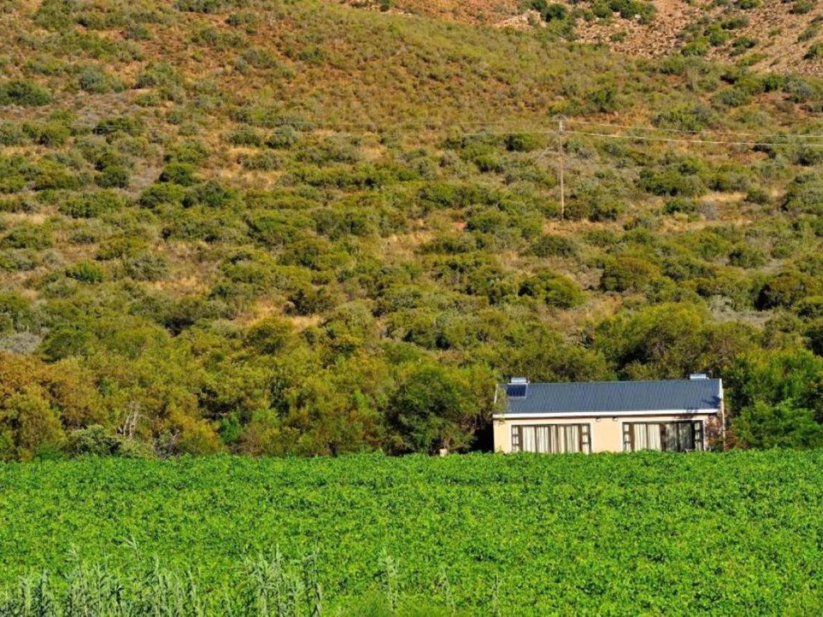 Mymering Wine & Guest Estate Ladismith Exterior photo