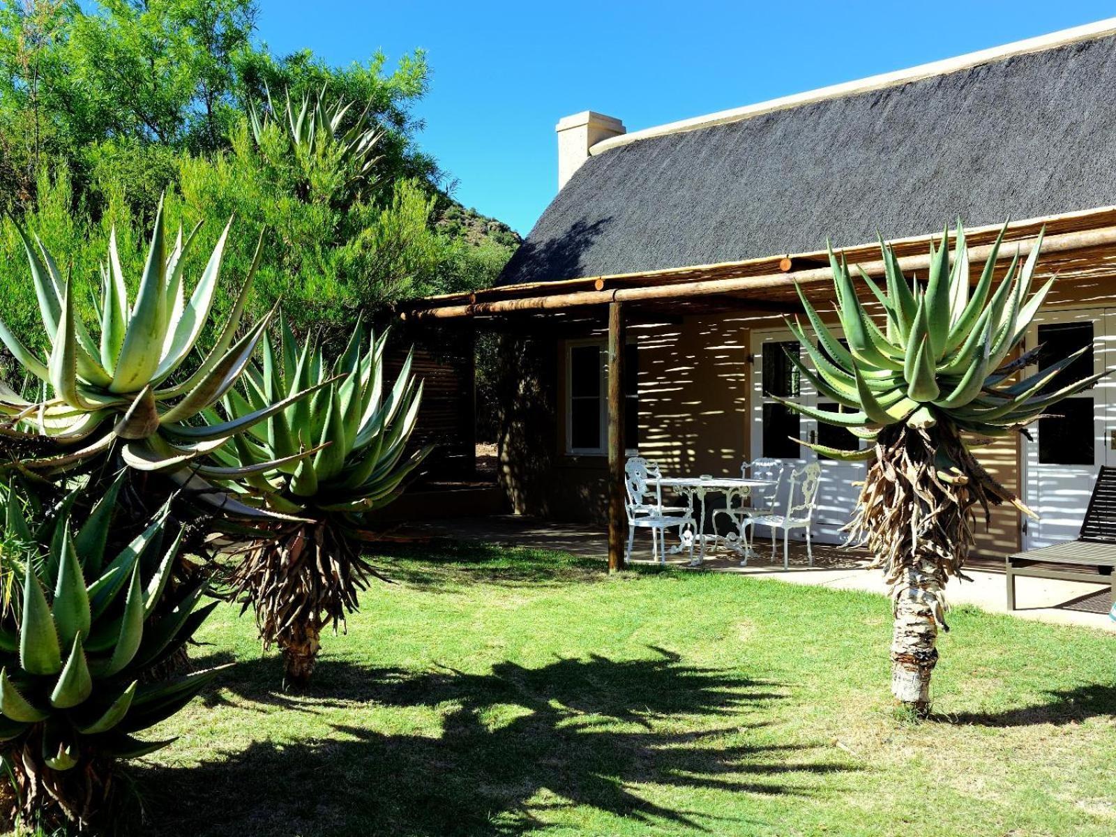 Mymering Wine & Guest Estate Ladismith Room photo