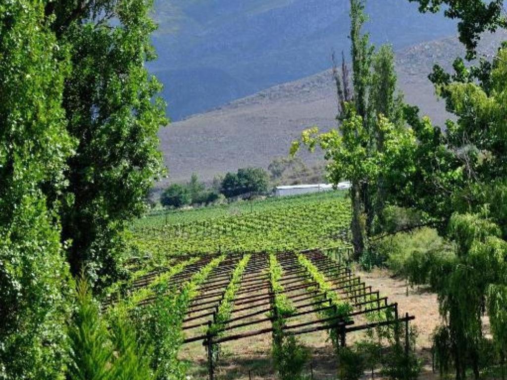 Mymering Wine & Guest Estate Ladismith Exterior photo
